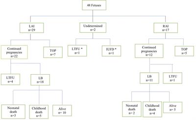 Discordant Post-natal Patterns in Fetuses With Heterotaxy Syndrome: A Retrospective Single-Centre Series on Outcome After Fetal Diagnosis